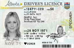 Online Driver's License Renewal